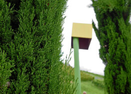 014 - Strassenlaterne